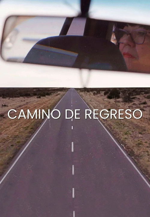 Camino de regreso (2023) poster