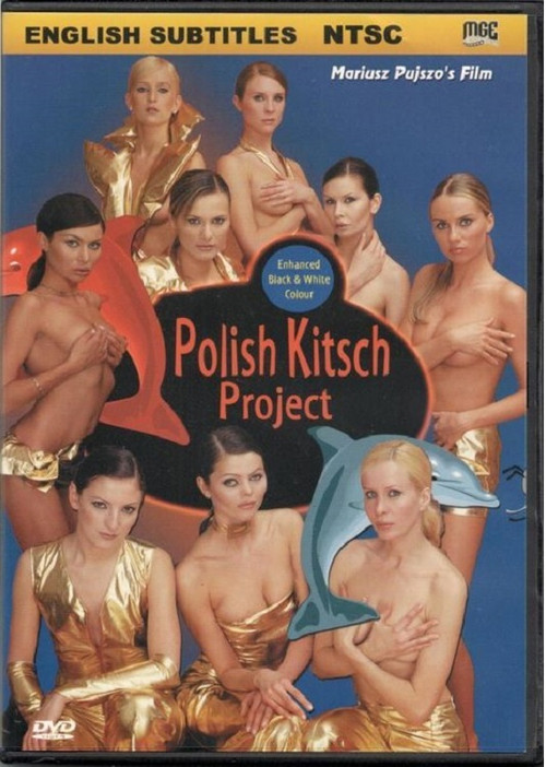 Polisz kicz projekt (2003) poster
