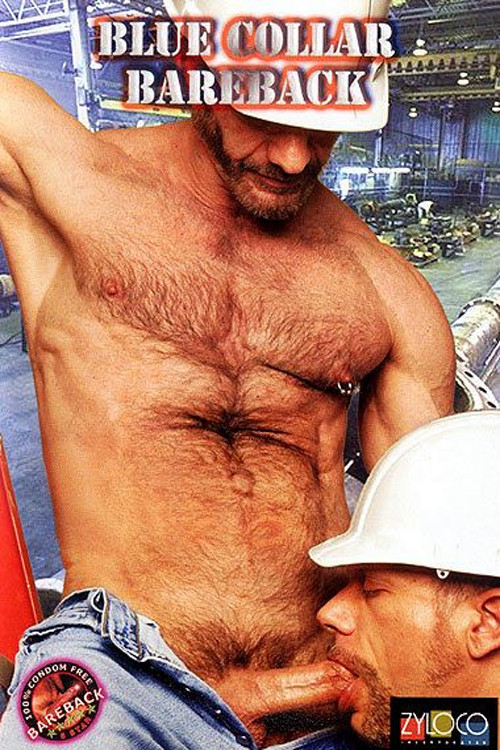 Blue Collar Bareback (2004) poster