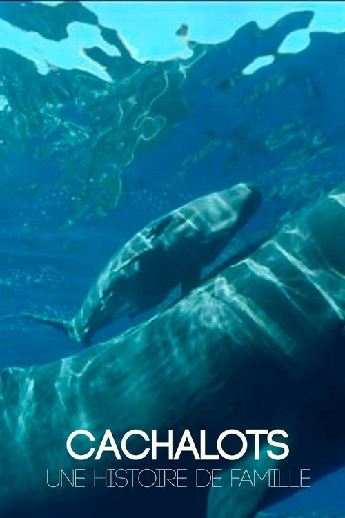 Cachalots, une histoire de famille (2021) poster