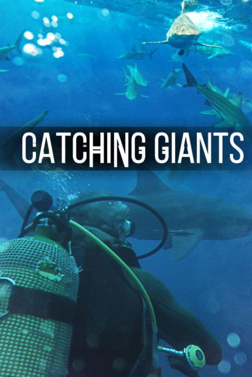 Catching Giants: Zambezi Shark (2010) poster