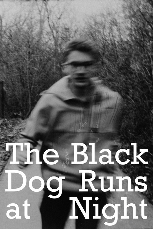 The Black Dog Runs At Night (2025) poster