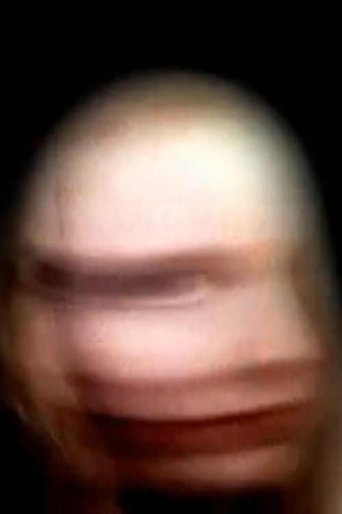 Portrait (2003) poster