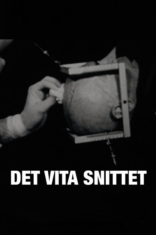 Det vita snittet (2010) poster
