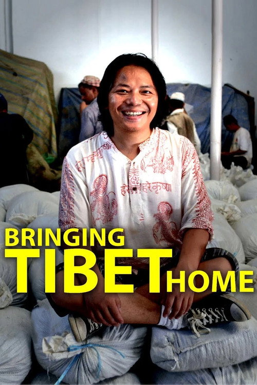 Bringing Tibet Home (2016) poster