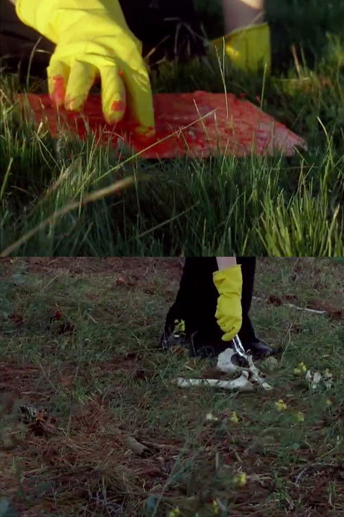 Ossein (2023) poster