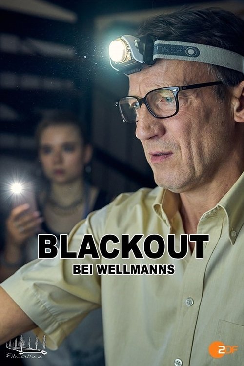 Blackout bei Wellmanns (2024) poster