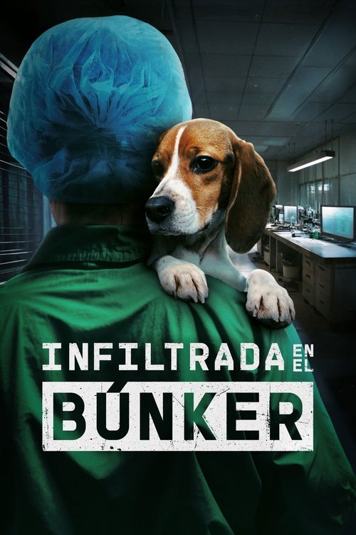 Undercover. Inside the Bunker (2025) poster