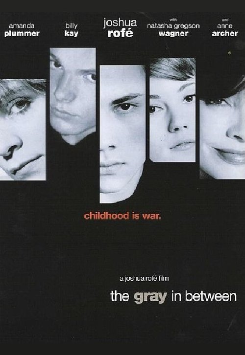 The Gray in Between (2002) poster