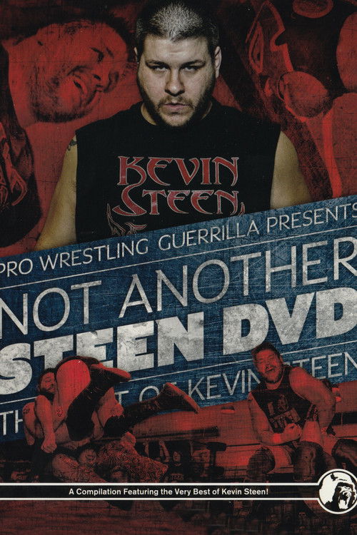 Not Another Steen DVD (2015) poster