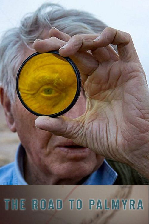 The Road to Palmyra (2018) poster