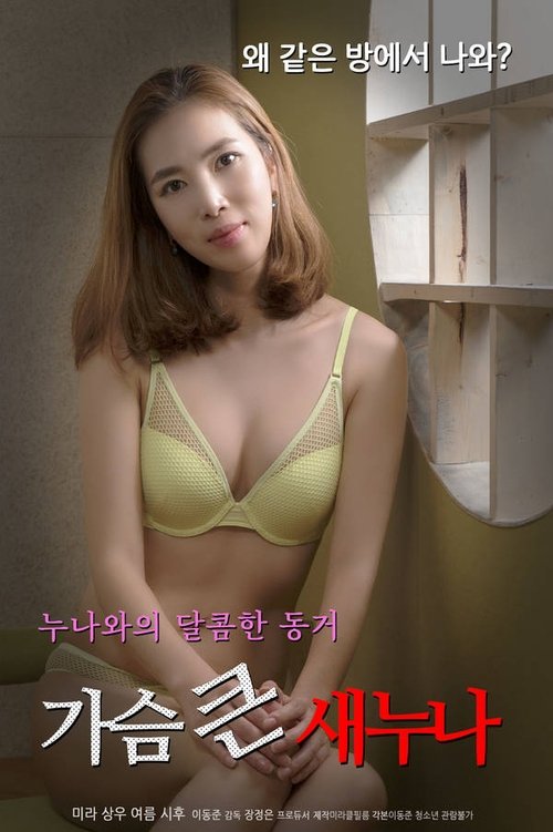 Big Breasts Sister (2020) poster