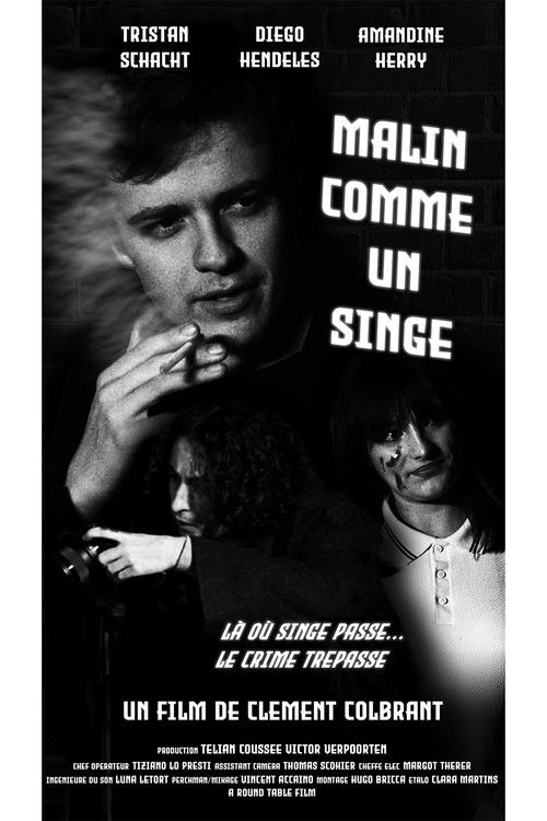 Malin comme un singe (2024) poster