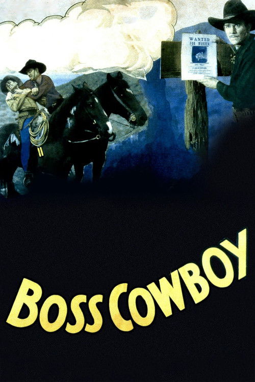 The Boss Cowboy (1934) poster