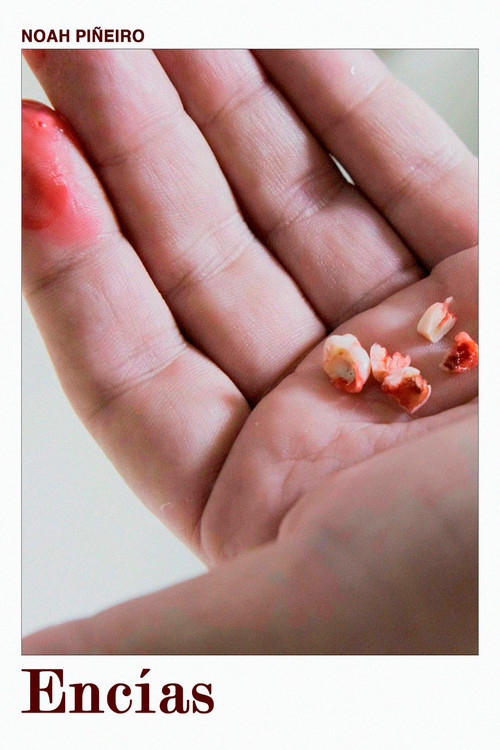 Encías (2025) poster