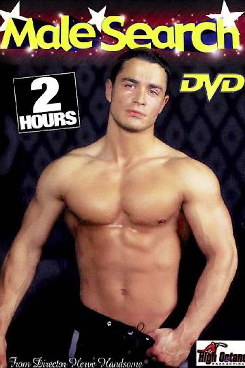 Male Search (2001) poster