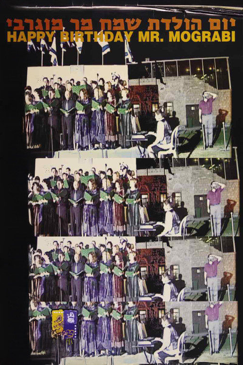 Happy Birthday, Mr. Mograbi (1999) poster