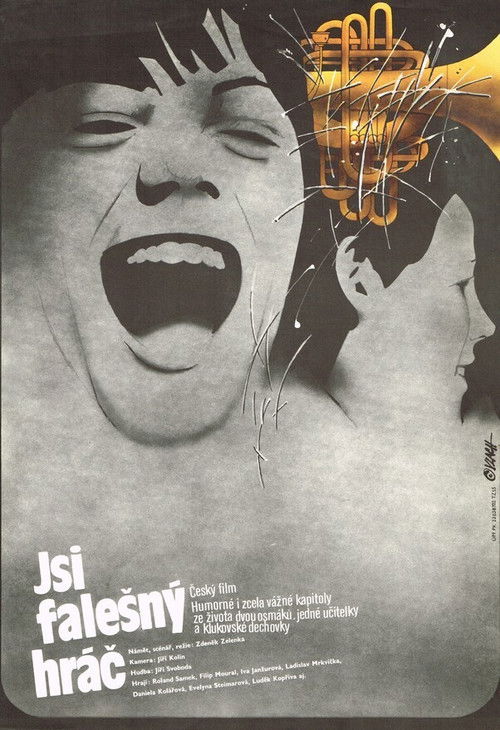 Jsi falešný hráč (1987) poster
