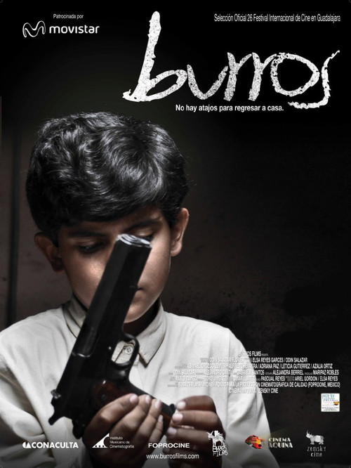 Burros (2011) poster