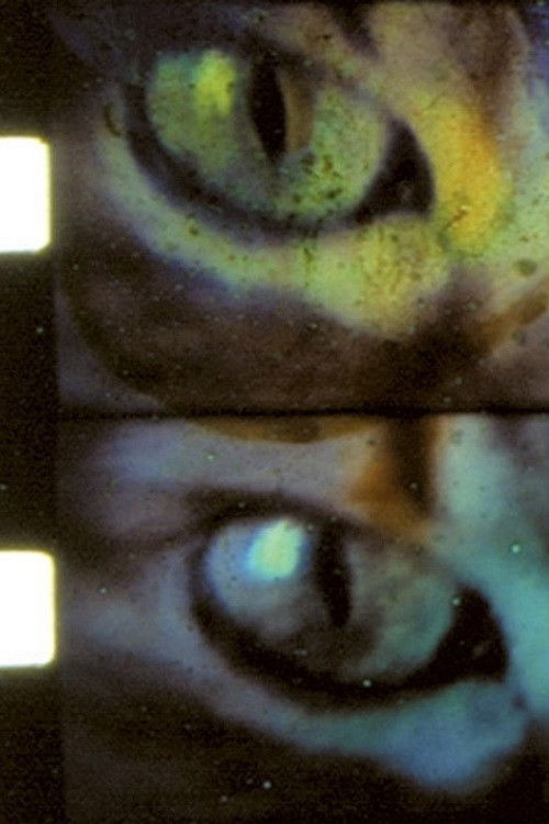 Wild Eye (1998) poster