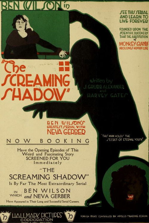 The Screaming Shadow (1920) poster