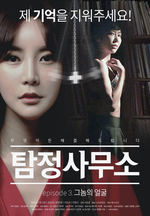 Detective Agency: Face of the Gnome (2017) poster