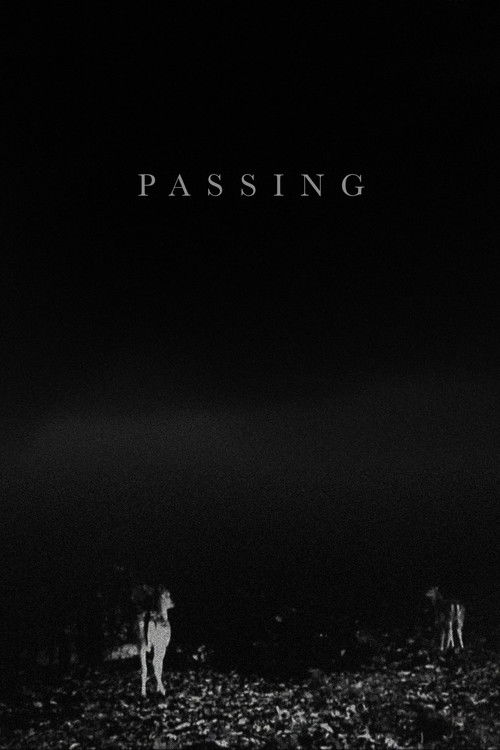 Passing (2017) poster
