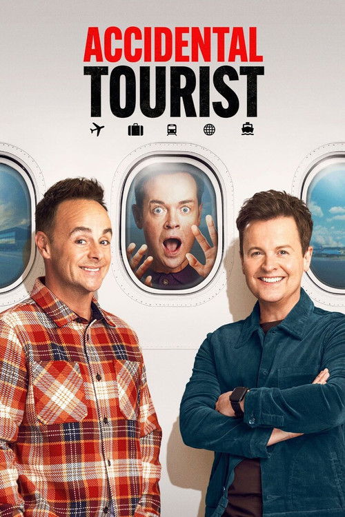 Accidental Tourist (2025) poster