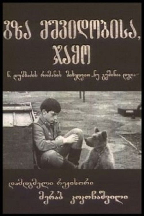 გზა მშვიდობისა, ჯაყო! (1973) poster