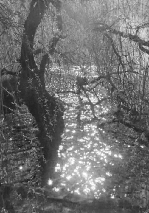 Because I Know (2020) poster