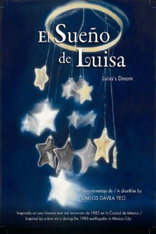 Luisa's Dream (2009) poster