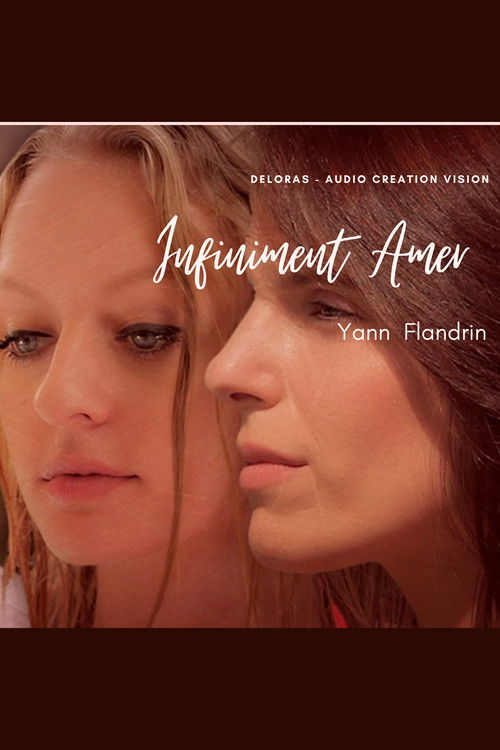 Infiniment Amer (2017) poster