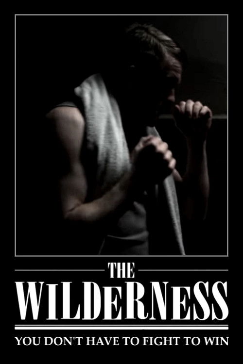 You Don't Have to Fight to Win (2011) poster