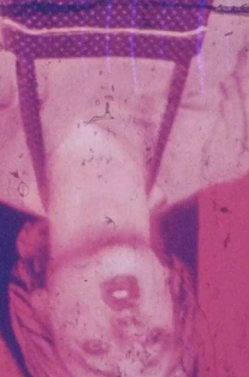 Mis en pièces (1978) poster