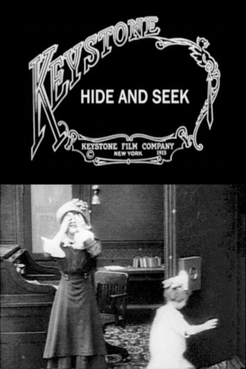 Hide and Seek (1913) poster