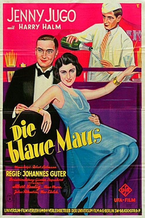 The Blue Mouse (1928) poster