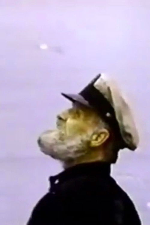 The Not So Lonely Lighthouse Keeper (1967) poster