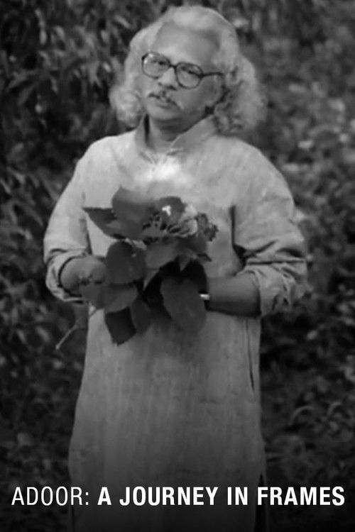 Adoor: A Journey in Frames (2015) poster