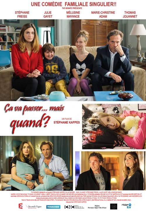 Ça va passer... mais quand ? (2014) poster
