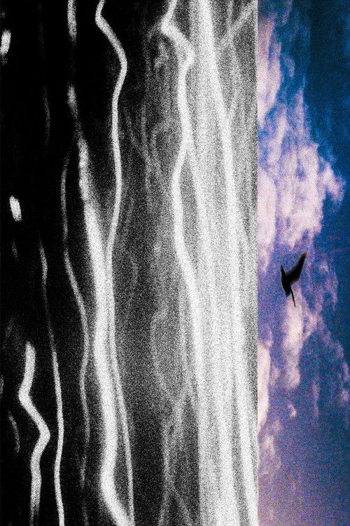 City with Dreams of the Sea (2024) poster