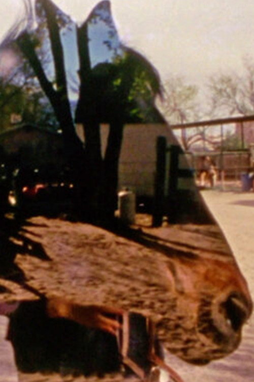 Horse Fare (2021) poster