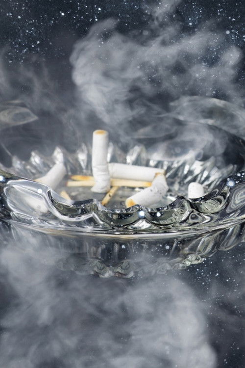 My Little Planet (2016) poster