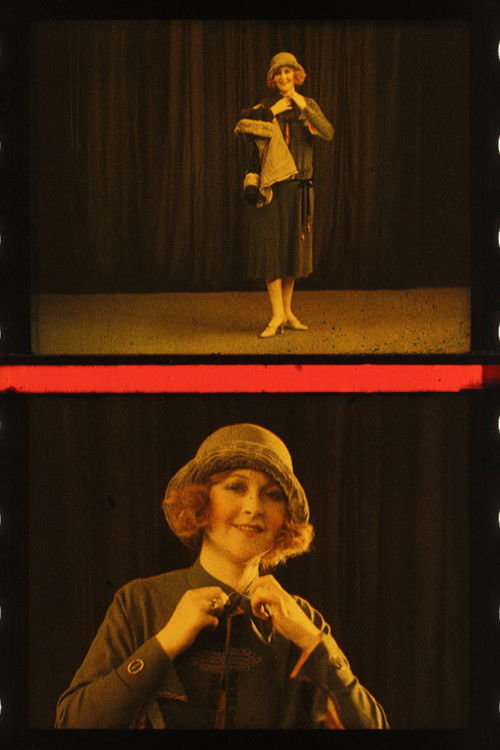 Parisian Modes in Colour (1925) poster