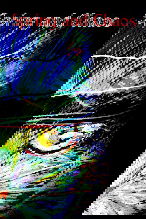 Spring and Chaos (1996) poster