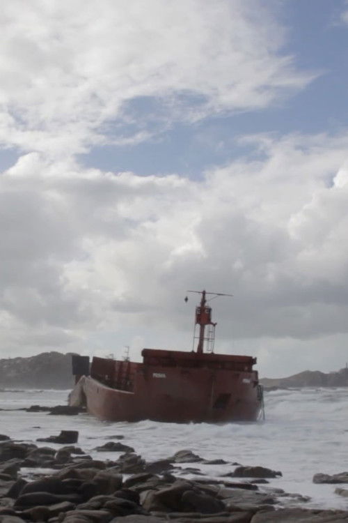 Ai Capitán! (2014) poster