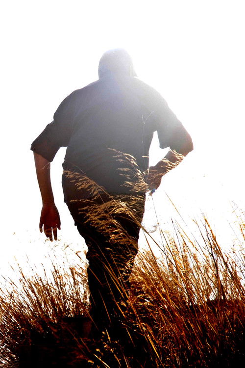 The Second Man (2013) poster