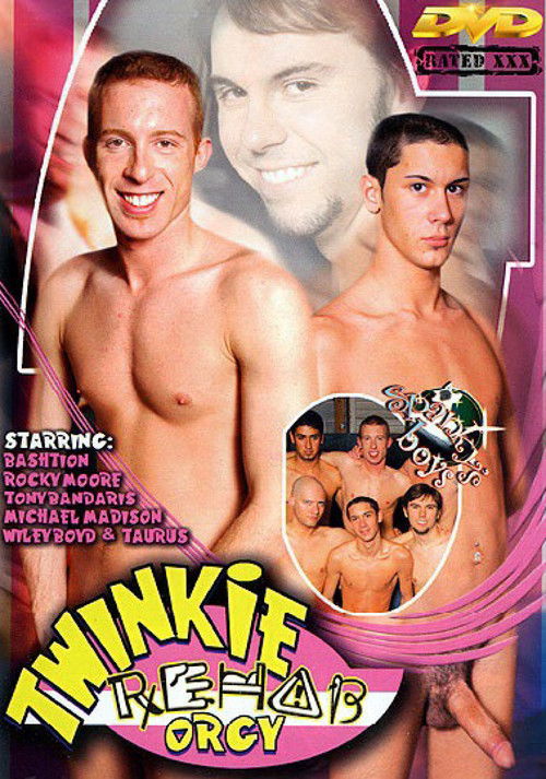 Twinkie Rehab Orgy (2004) poster
