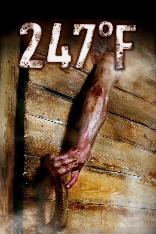 247°F (2011) poster