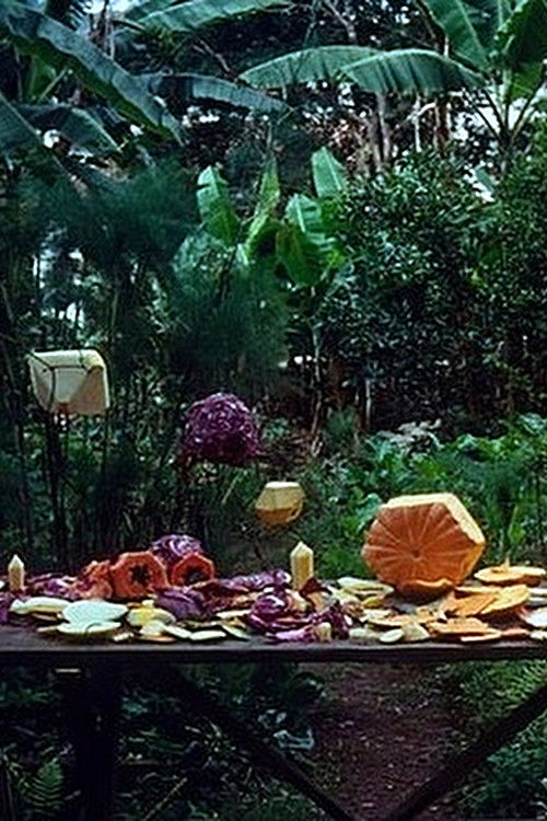 Fruit Polyhedron (2009) poster