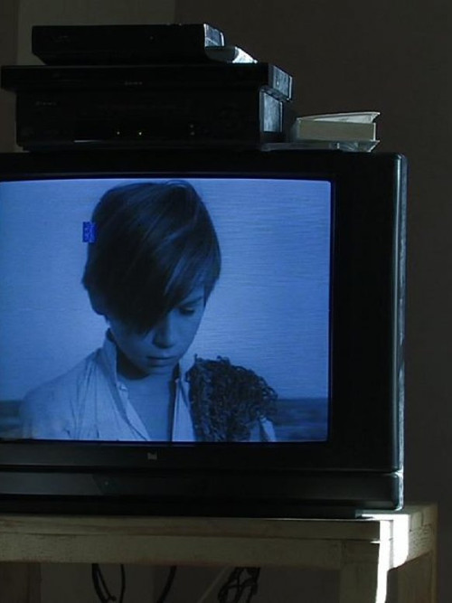 Portrait of Alain Emery: The Child Who Did Not Know How to Smile (2008) poster